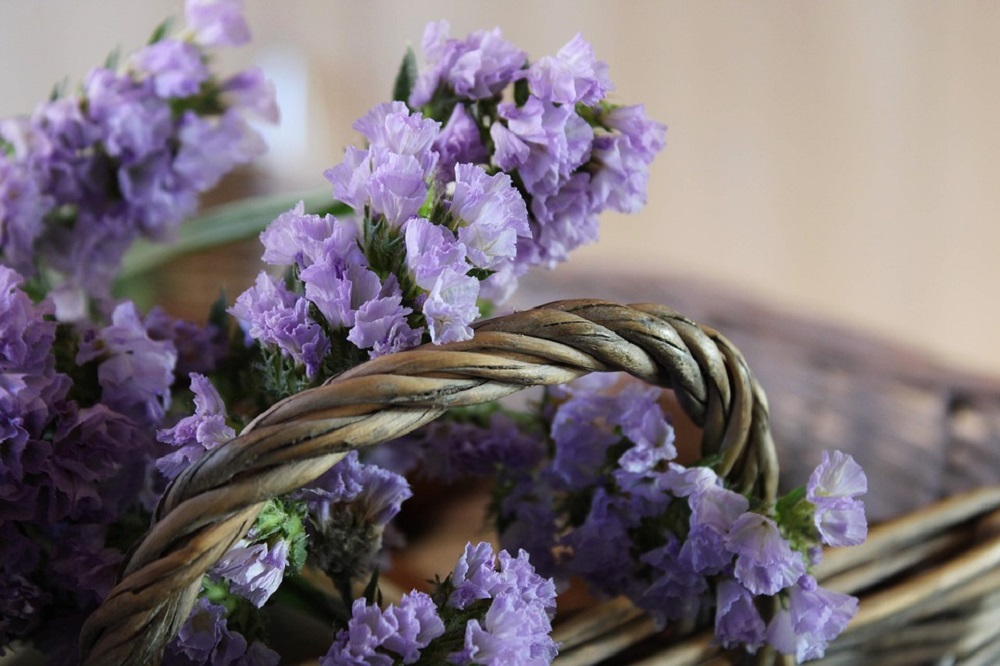 Reduceri de 60% la magazinul Lavandiere în perioada 18-24 noiembrie!